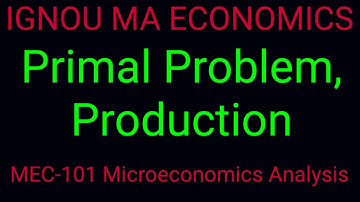 Primal Problem#Output Maximization Problem#Dual Problem#Production#.