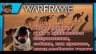 Warframe собаки лают караван идет🤍💙💖