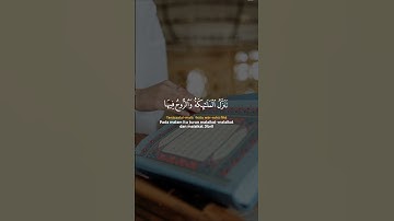 تلاوة تلامس القلوب وتنير الدروب ✨📖🌿#القارئ