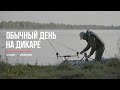 Ловля карпа в завоз на дикаре. Один день.