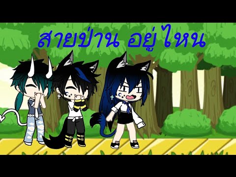 สายป่าน อยู่ไหน meme (อ่านใต้คลิป)