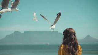 Everen Maxwell - A Day at Sea (Official Music Video)