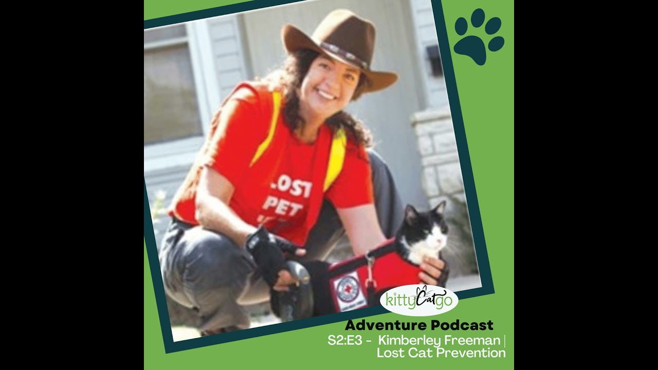 2:3 - Lost Cat Prevention & Recovery: Expert Advice from The Lost Cat Finder
