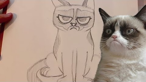 How to Draw GRUMPY CAT - @DramaticParrot