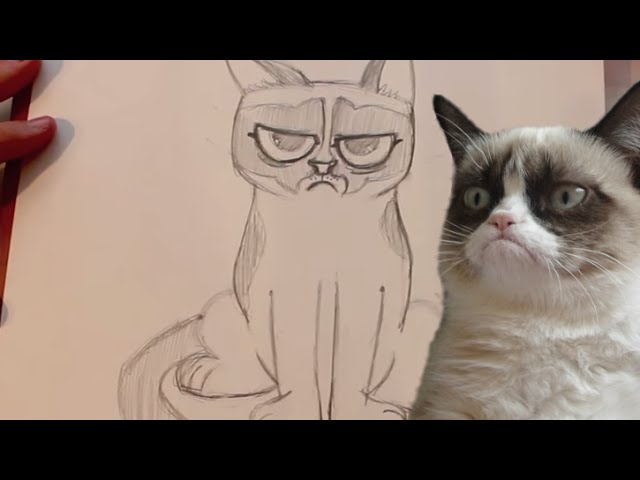 How to Draw a Grumpy Cat - DrawingNow