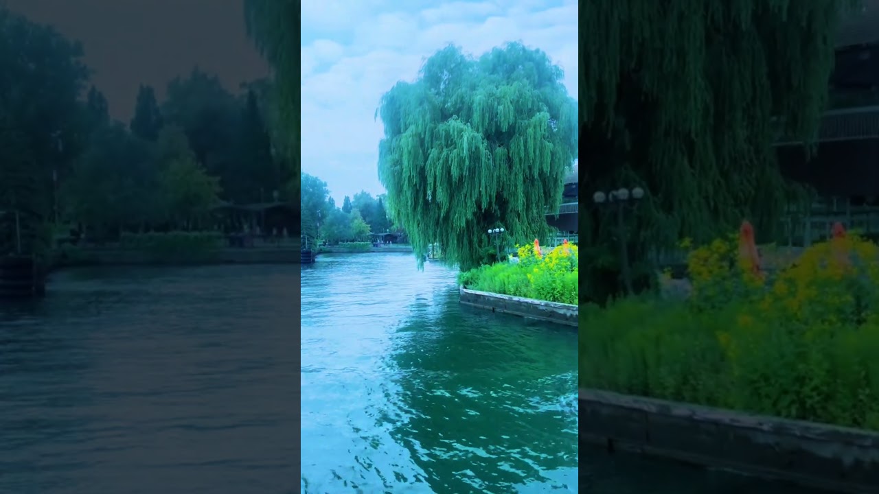 Enjoy Summer Vibes ☀️ 