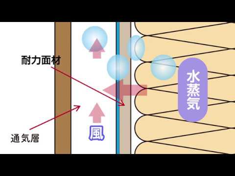 【HD】タイガーEXボード製品紹介映像