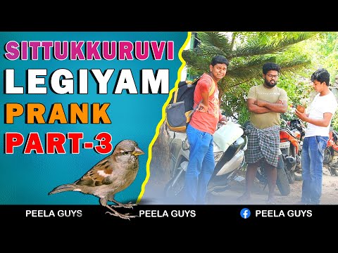 Sittu Kuruvi Legiyam Prank Part- 3 | Peela Guys | Best Tamil Prank | #RagalaWithRackyi-28