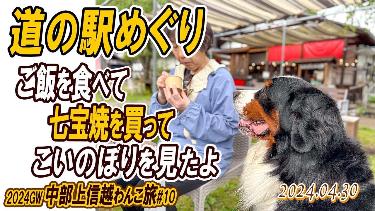 大型犬の車中泊旅／新潟から群馬へ道の駅をめぐりながら帰阪するよ！／中部上信越わんこ旅（その10）／2024GW#10／大型犬散歩