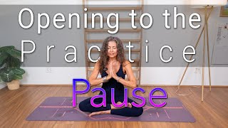 Famous Opening to the Practice | Pause Profile