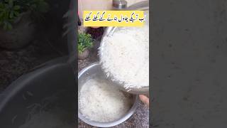 Part2 best Chicken veggie Rice secret recipe ❤️youtubeshorts rice youtuber minivlog short