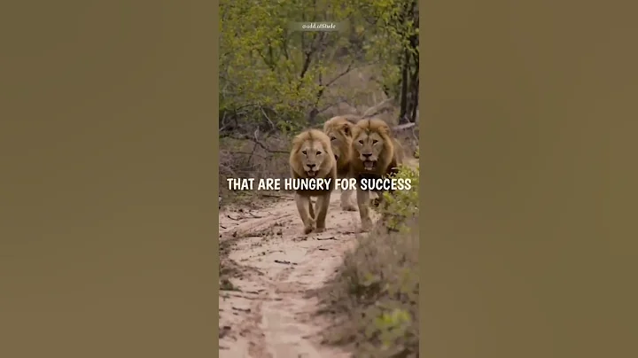 Sigma rule 😎🔥~ Attitude status 😈 | WhatsApp status | Attitude quotes #shorts #quotes #attitude