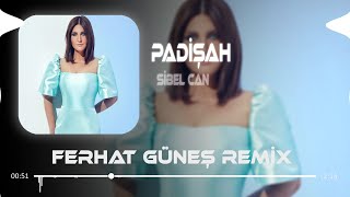 Sibel Can - Bu Devirde Kimse Sultan Değil ( Ferhat Güneş Remix ) Resimi