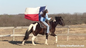 William - working cows and carrying the flag! - ValleyViewRanch.net