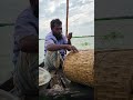 Wow! Amazing Polo Fishing Videos ! Best Big Fish Catching🐟Primitive fishing #fish #shorts #india