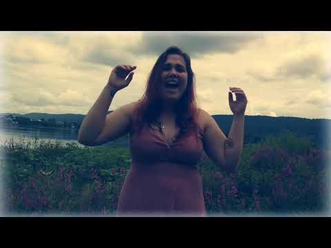 Exile (A Taylor Swift & Bon Iver Cover)