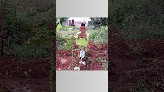 Download Lagu #shorts  Juan Mau Di sunat Arwah Hantu hamood  habibi #funny #granny #jayantinavfamily MP3