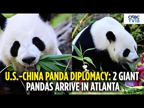 China-U.S. Panda Deal: Ping Ping & Fu Shuang Arrive In Atlanta On ‘Panda Express’ | N18G