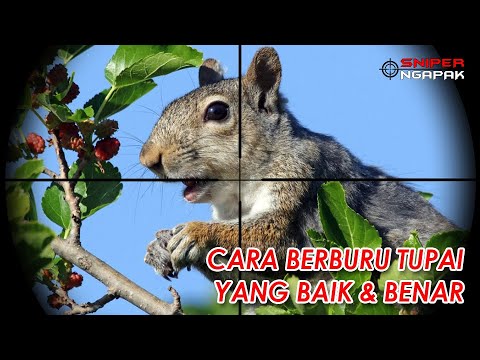 Video: Cara Membuat Kaki Lebih Besar (Untuk Wanita) (dengan Gambar)