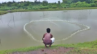 Very Amazing Net Fishing Skill - Cast Net Fishing - Village Fishing By Fisherman