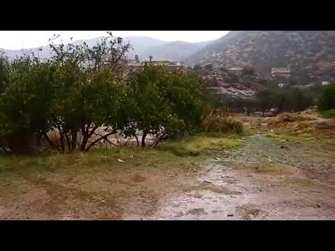 يارب مع كل قطره مطر ارزق كل قلب بما يتمنى من خير الدنيا والآخرة