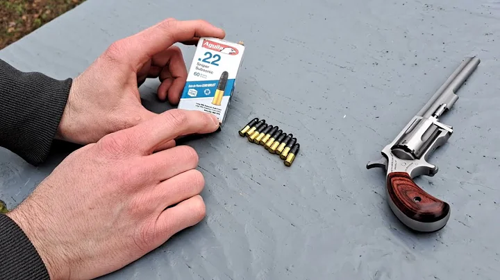 NAA Sidewinder micro 22 cal revolver