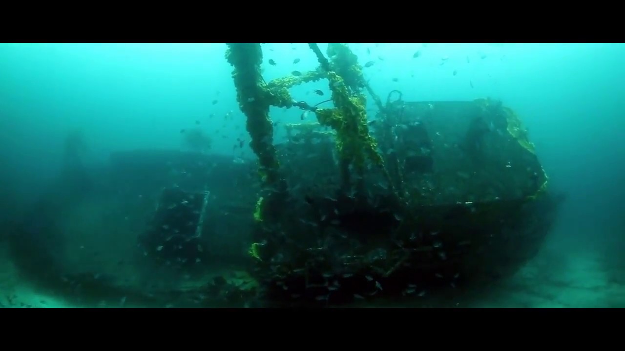 017 イルカの日 Revival イルカを利用した大統領暗殺の計画 映画パンフレット フェスティバル Youtube