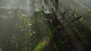 Cinematic Forest Animation with Unreal Engine 5