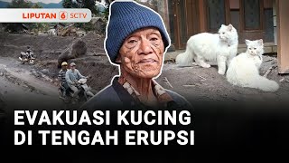 Download Lagu Evakuasi Hewan Peliharaan di Tengah Erupsi Semeru | Liputan 6 MP3