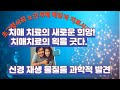 치매 치료의 새로운 희망, 신경 재생을 돕는 물질들의 과학적 발견📌구독은 사랑입니다’