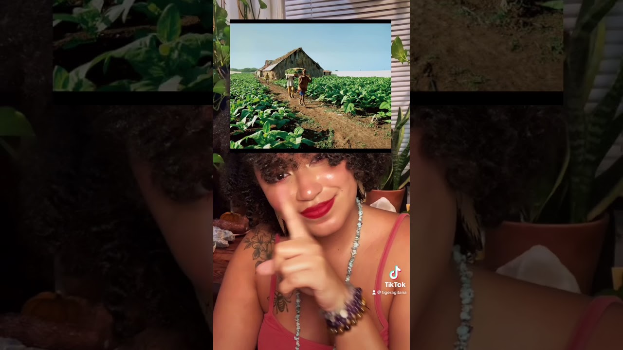 3 Things Tainos have in common with Northern American Tribes | 🌿✨ 