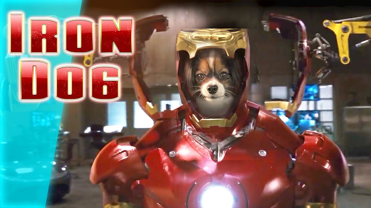 The Avenger for really hard jobs (Iron man starring my dog)