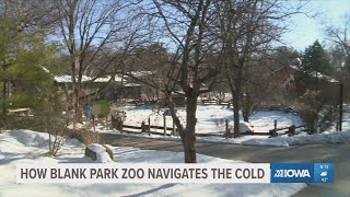 How Blank Park Zoo takes care of animals during the winter