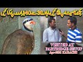 Chukar Birds Setup A Profitable Business with Complete Information Monthly EARNING 40k In Urdu/Hindi