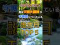 【100万人に1人】実は天照大御神が守護霊についている誕生日TOP5