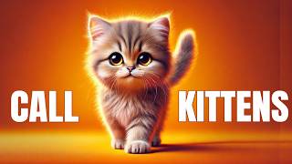 Sound to Call Kittens