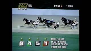 1997 Scioto Downs GIDDY UP CHACO David Miller