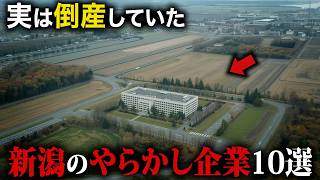 [Aerial Commentary] 10 Mistake-Making Companies in Niigata Prefecture that Actually Went Bankrupt