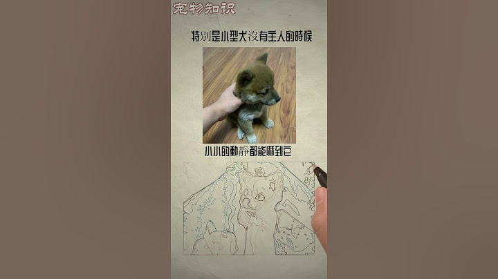 家里的狗狗胆小？那你知道狗狗胆小的常见原因有哪些吗？