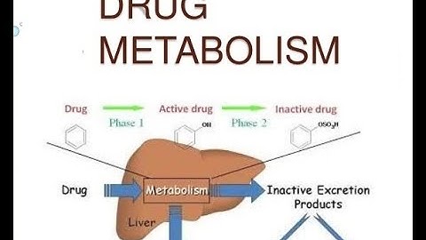 Pharmacokinetics  Part VIII : Drug Metabolism As per VCI  Syllabus 2016  Dr N B Shridhar