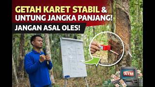 The Secret to Stable Rubber Sap & Long-Term Profits (Don't Just Apply It!)