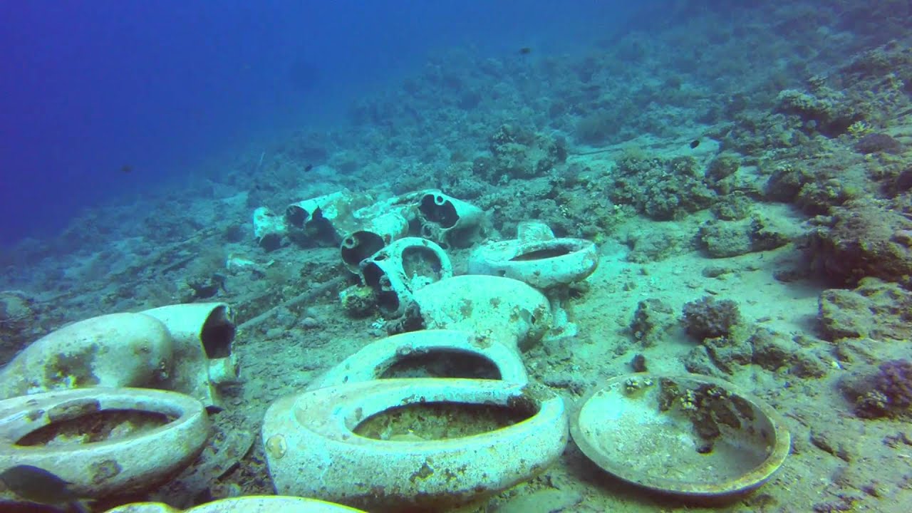 Mis buceos en Mar Rojo Norte Agosto 2014