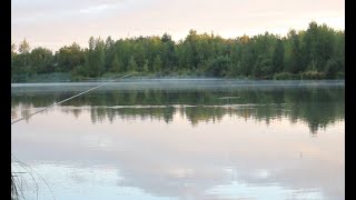 ПОКЛЁВКИ С ПЕРВОГО ЗАБРОСА, КАРАСЬ ГНЁТ УДОЧКИ.  УБОЙНАЯ РЫБАЛКА.