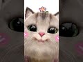 mere sbr ka fal kaha ja raha h 🤦🤣#catvideos#viralvideo#trendingreels#funny#cutekittyworld#trending