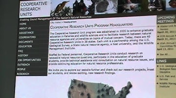 Web Usability Test 1