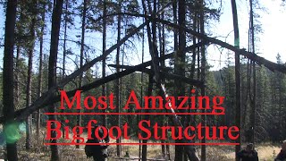 Most Incredible Bigfoot Structure Ever! Sasquatch outsmart Researchers