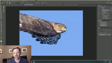 Short Attention Span Review - Topaz Sharpen AI