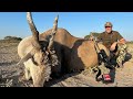 Hunting with kristoffer clausen in africa episode 4