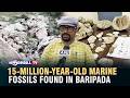 15-MILLION-YEAR-OLD MARINE FOSSILS FOUND IN BARIPADA