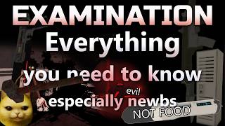 Examination Basic guide